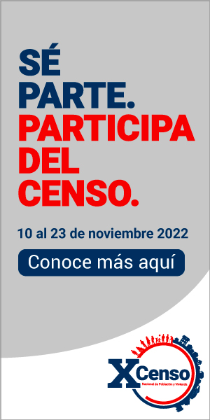 300x600