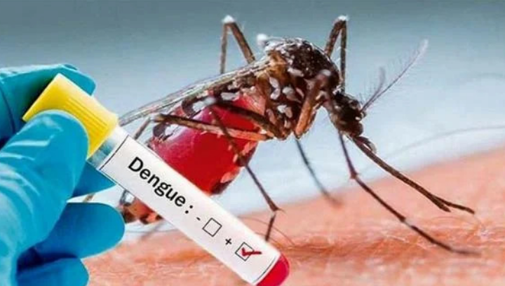 22 d ejulio dengue