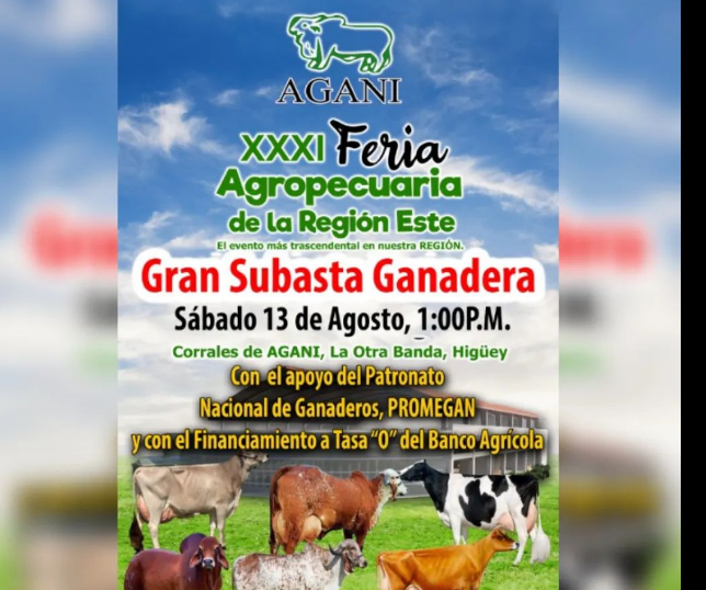 13 agosto agani